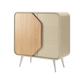 **Moderne Kast met Houten Deur en Strakke Lijnen**